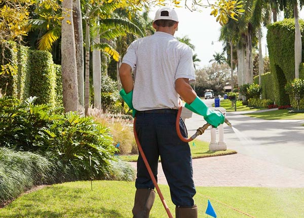 About Colver PA Pest Control Pros